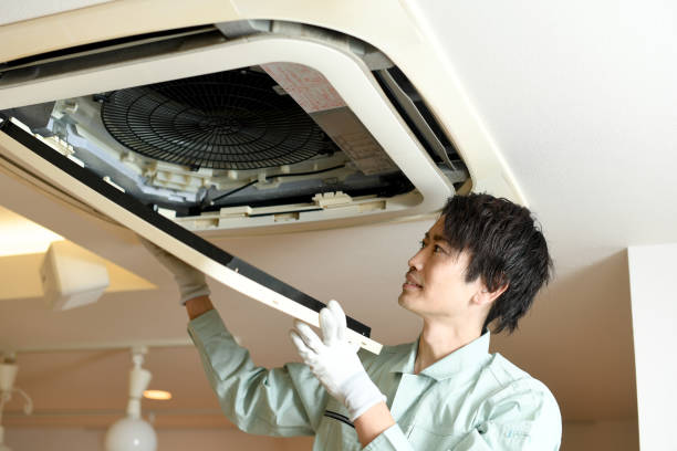 Best Ductwork Cleaning Services  in Tecumseh, MI